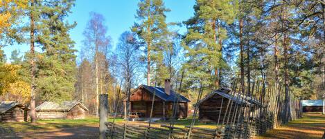 Classic Cabin | Living area