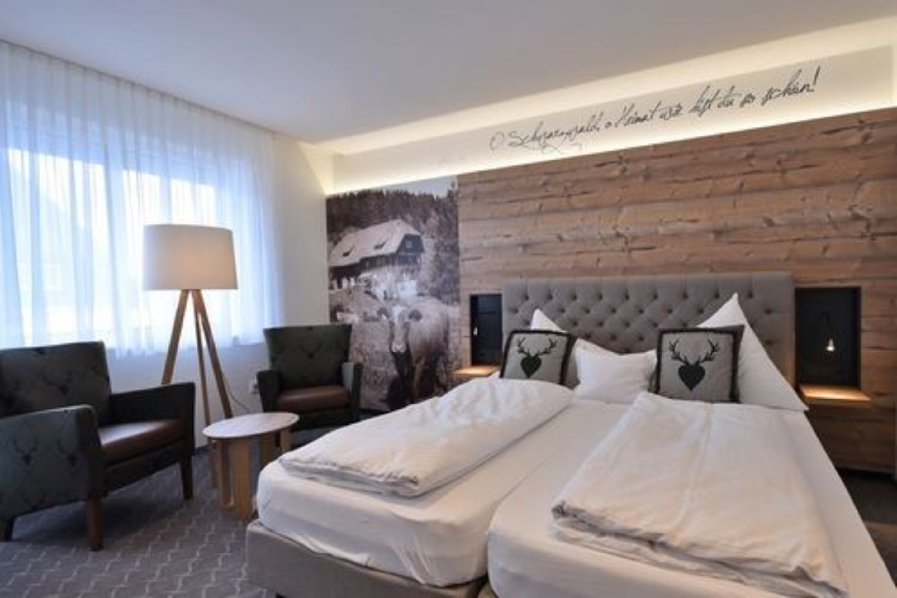 desk, rollaway beds, free wifi, bed sheets