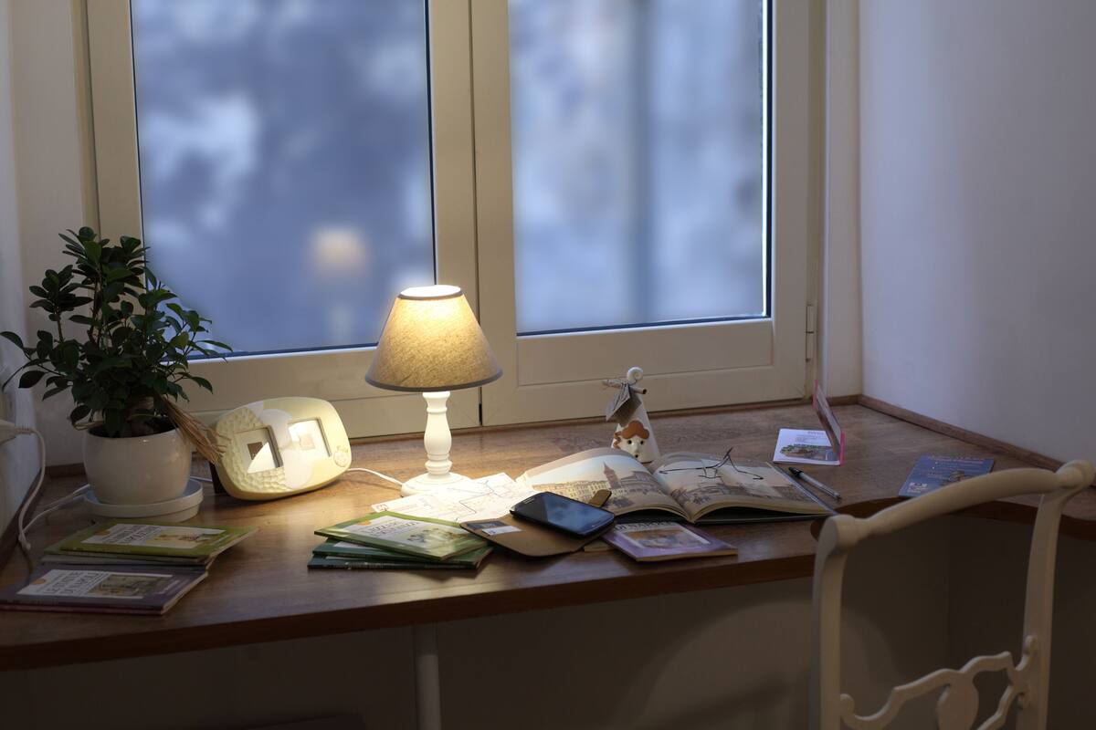 A desk with a lamp, a plant, and various books and papers.