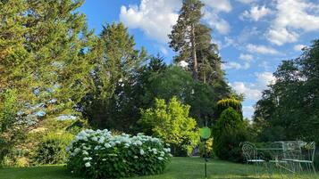 A garden with a tennis court, a hedge of white flowers, and tall trees.