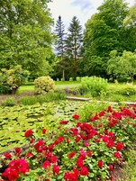 Un jardin luxuriant avec un étang, entouré de divers arbres et de plantes à fleurs.