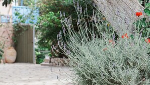 A stone pathway leading to a rustic building with a large tree and lavender plants. - Afroditi Pansion (Lefkada)