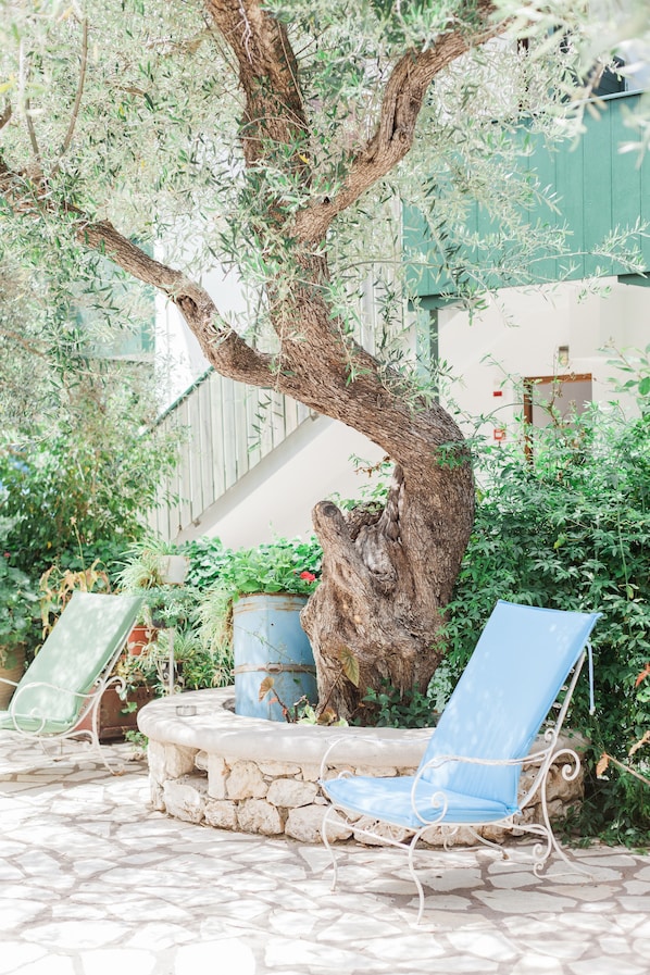 Courtyard - Afroditi Pansion (Lefkada)