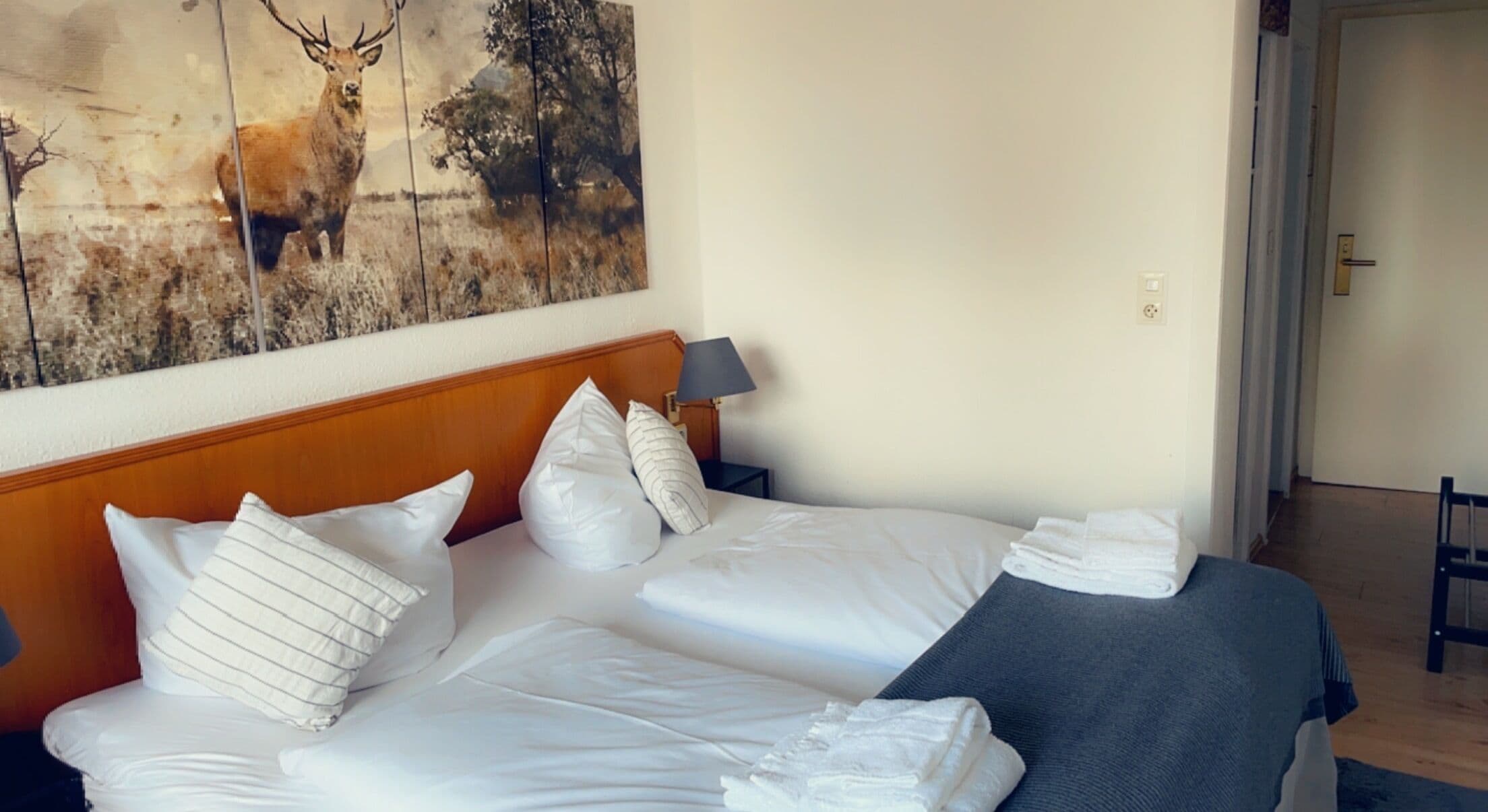 Panoramic Double Room, Balcony, Mountainside | Premium bedding, soundproofing, iron/ironing board, free WiFi