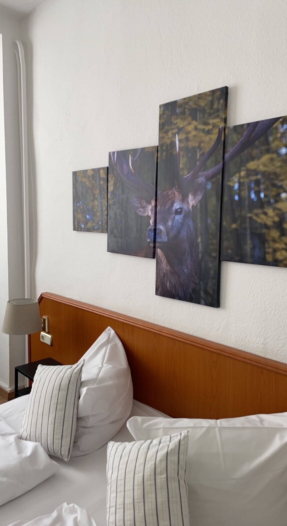 A hotel room with a bed, pillows, a nightstand, a lamp, and a wall-mounted deer artwork.