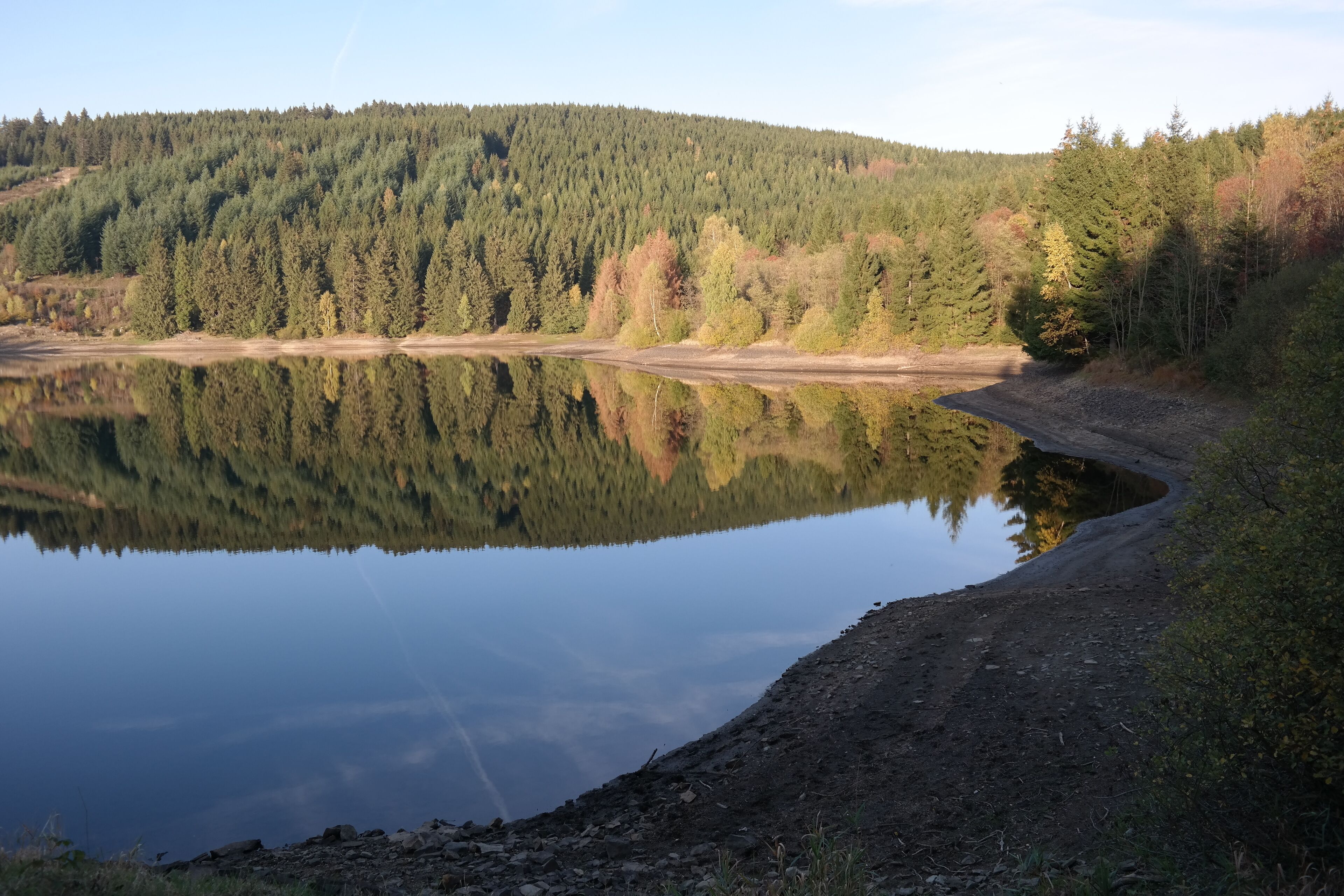 A calm lake with a forested hillside in the background.