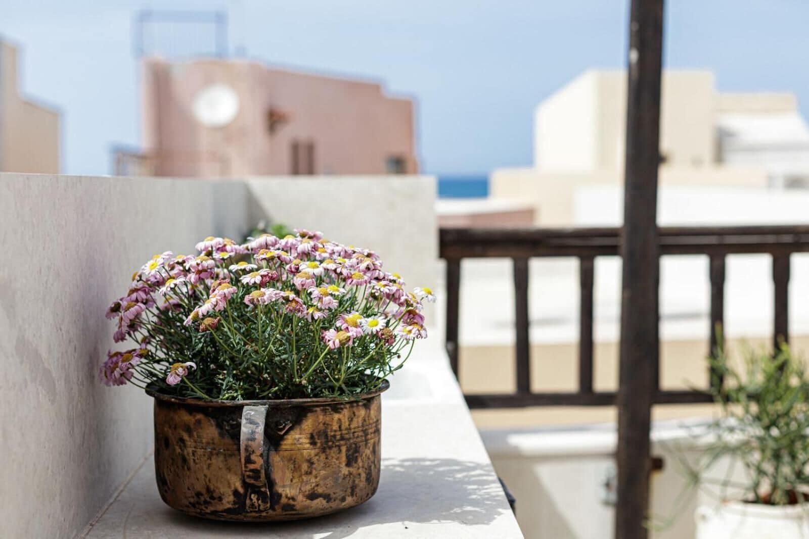 Photo - Antonia's House - Old town