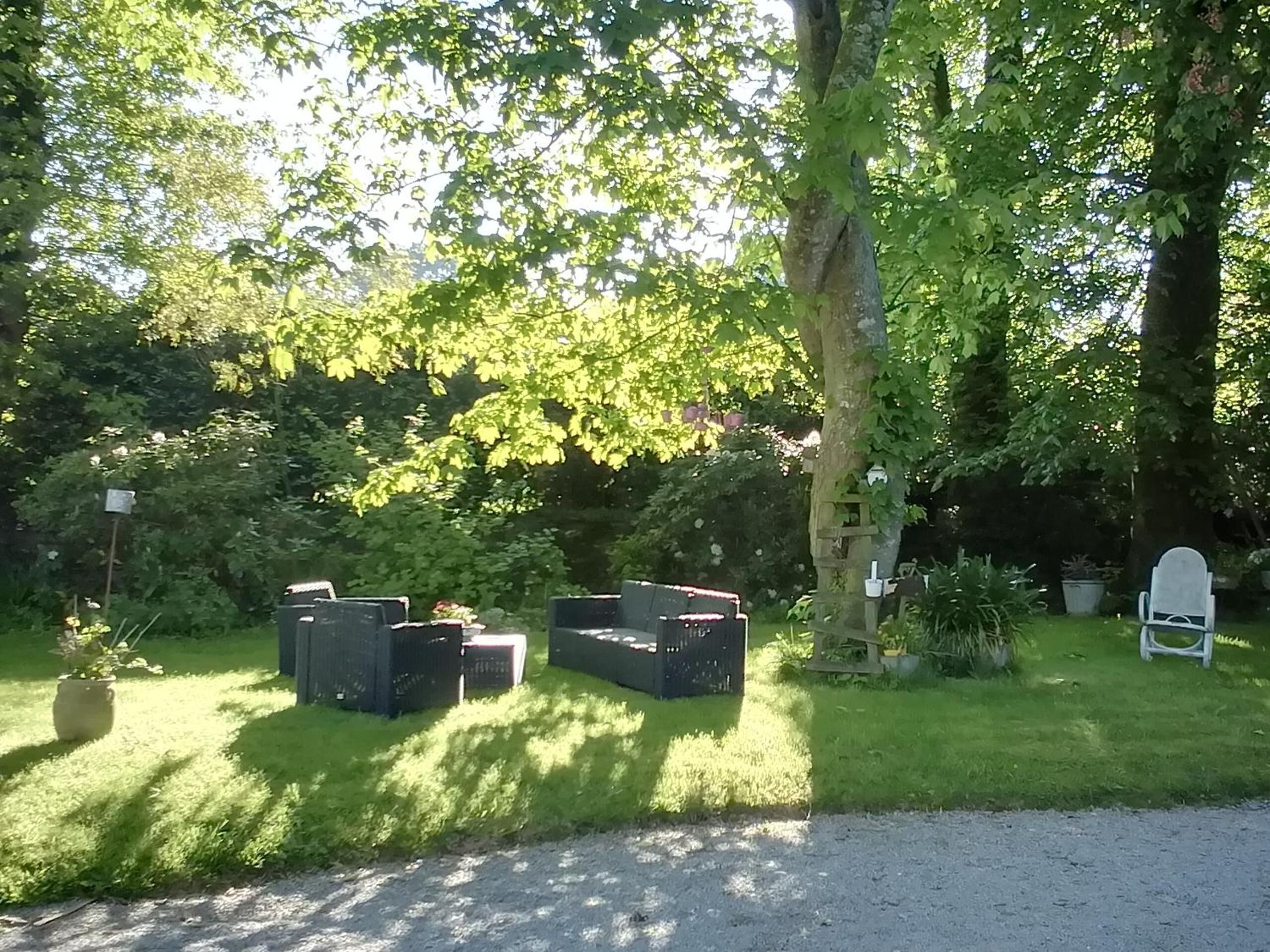 A garden with outdoor furniture and a large tree.