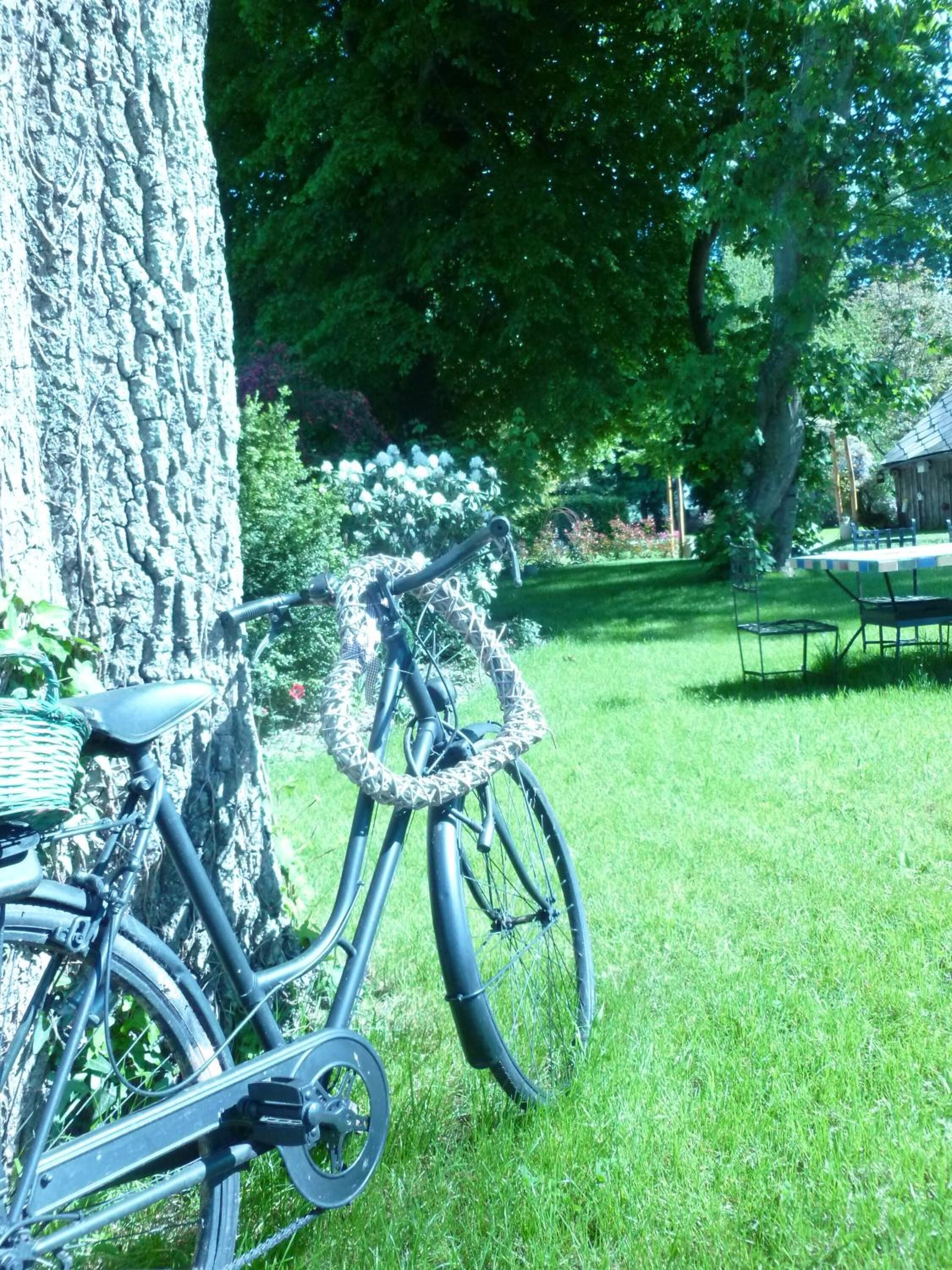 Un vélo doté d’un panier et d’un protège-chaîne, appuyé contre un arbre dans une zone herbeuse, avec une table de pique-nique et un bâtiment en arrière-plan.