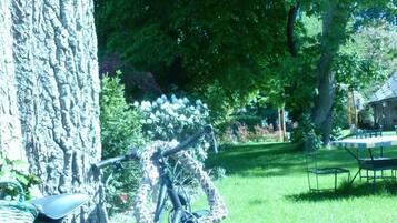 A bicycle with a basket and a chain guard leaning against a tree in a grassy area with a picnic table and a building in the background.