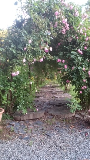 Property grounds - Château Bily Chambres d'hôtes (La Cheze)