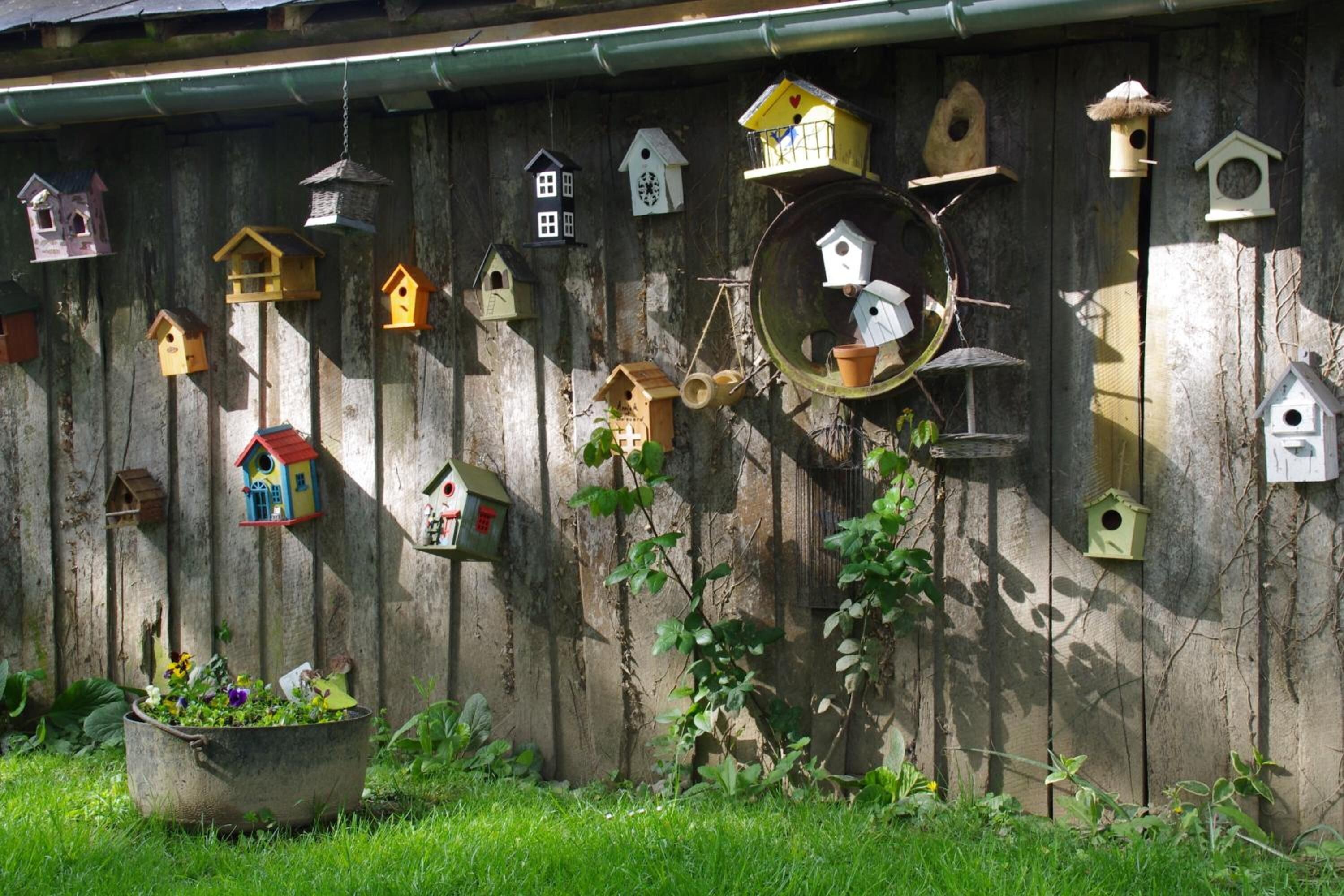 Een houten hek met verschillende vogelhuisjes en een grote ronde spiegel.