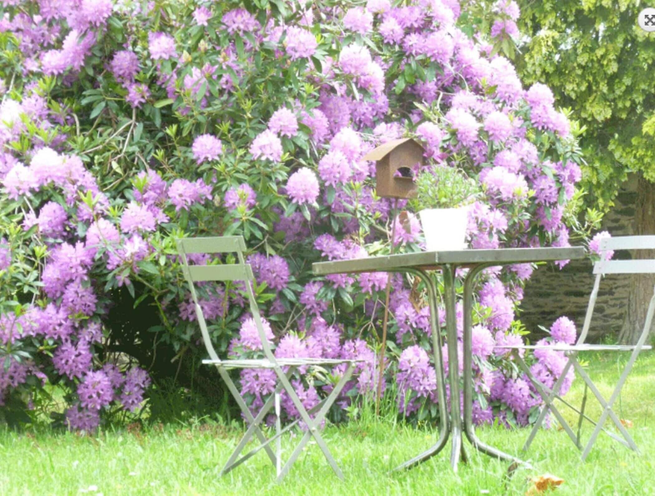 Un jardin avec une table et des chaises en métal, entouré d’une abondance de fleurs violettes.