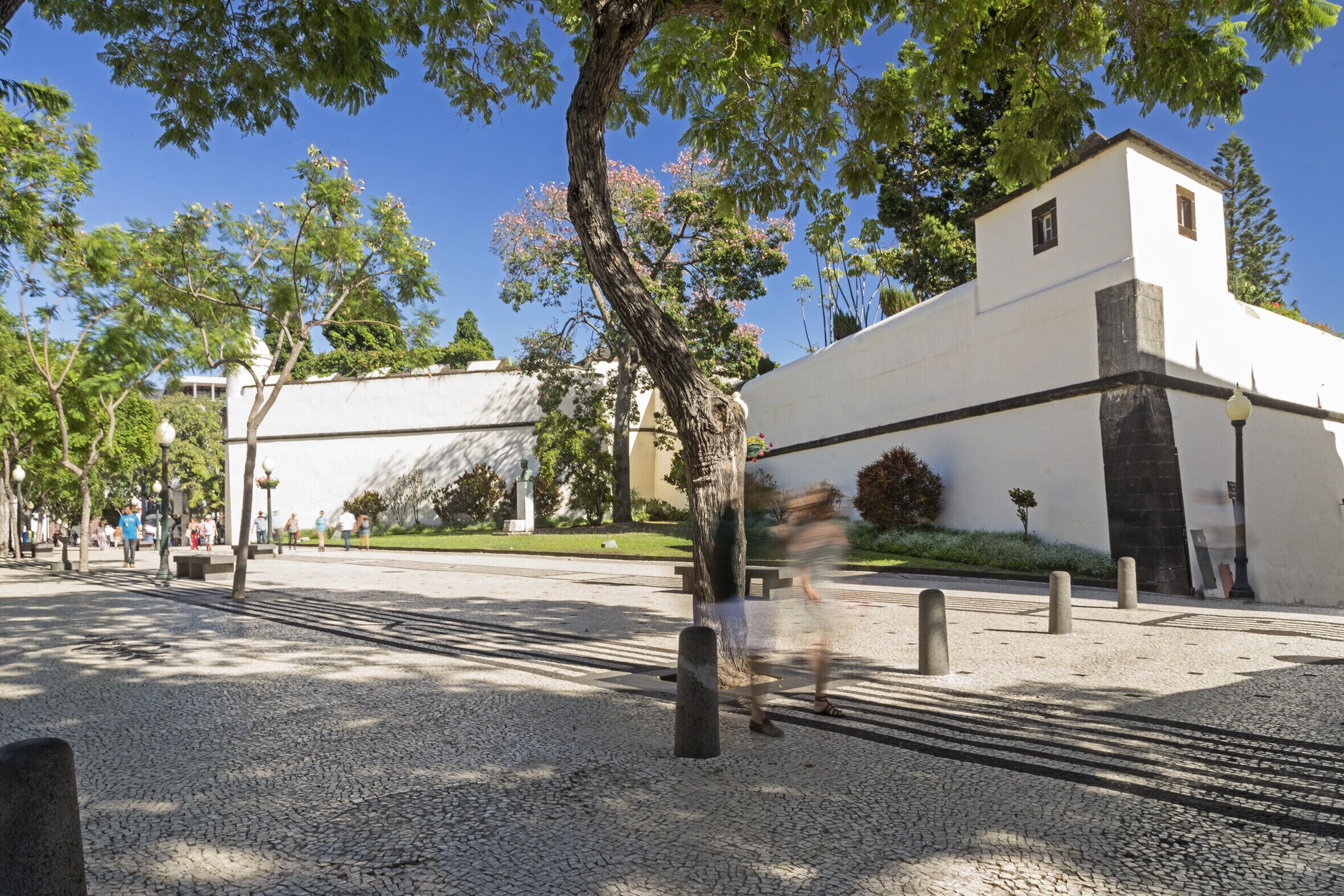 A historic building with a white facade and a small tower, surrounded by a paved area with trees and lampposts.