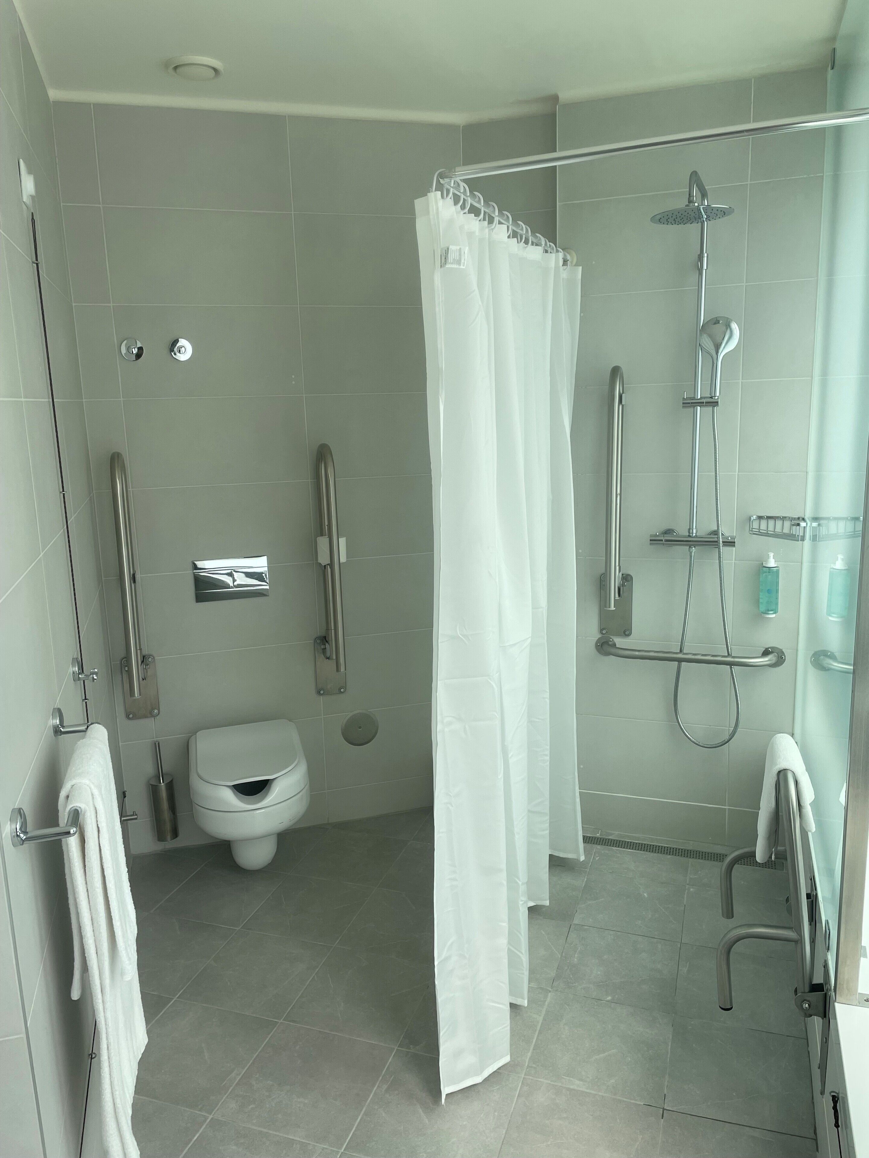 standard double room, accessible | bathroom | shower, free toiletries, hair dryer, towels