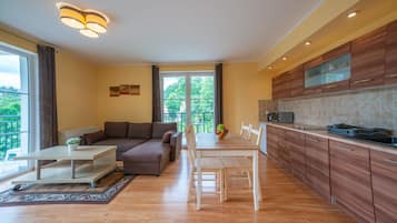 Comfort Apartment, 1 Bedroom, City View | Private kitchen | Fridge, microwave, stovetop, coffee/tea maker