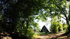 A secluded cabin surrounded by dense forest, with a clear path leading to it. - Feriendorf Waldbrunn (Waldbrunn)