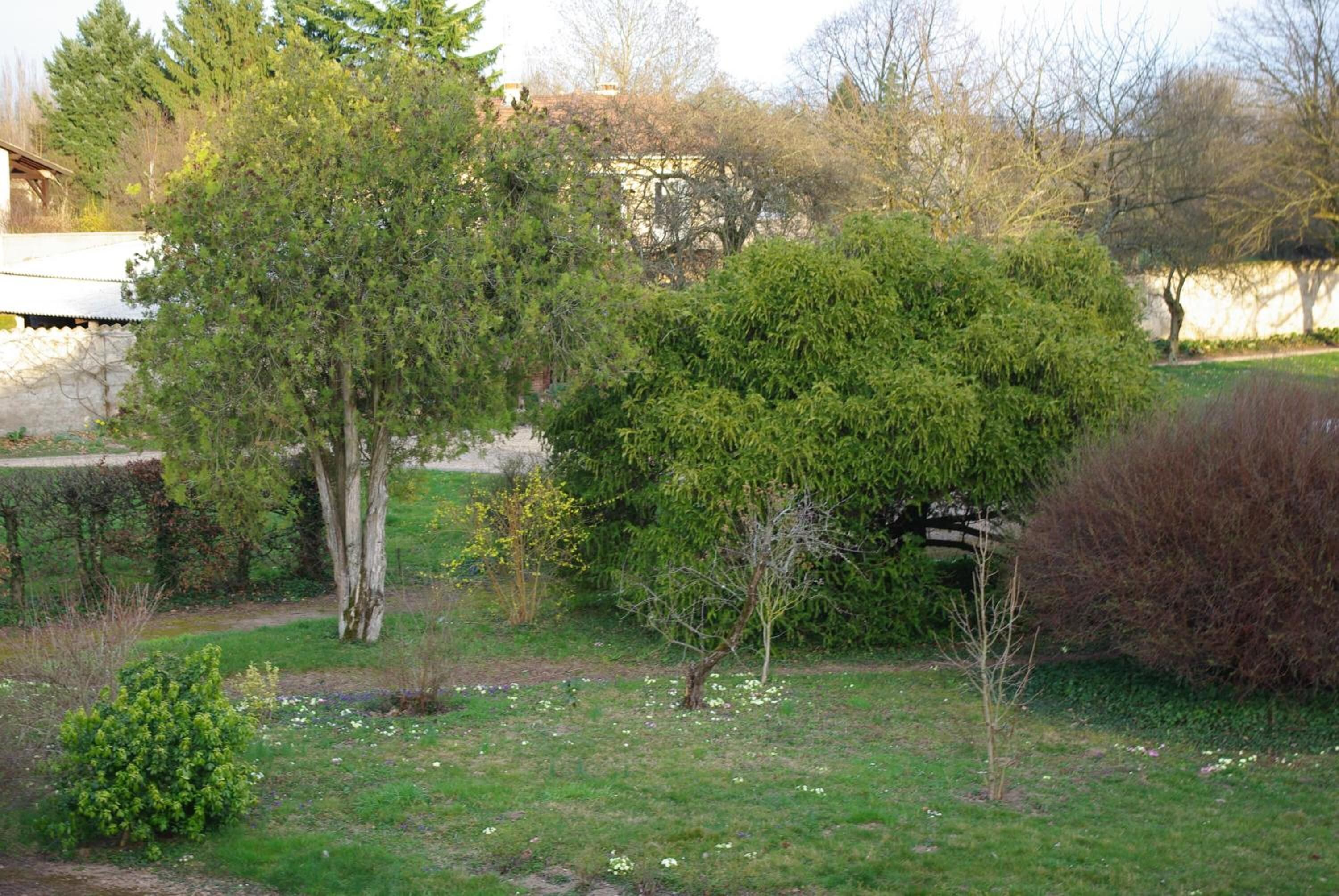 A garden with various trees and shrubs, a pathway, and a building in the background.