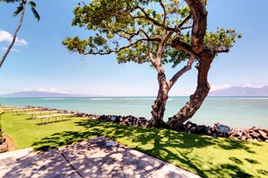 Property grounds - Oceanfront condo with shared pool & spectacular views from private lanai (Lahaina)