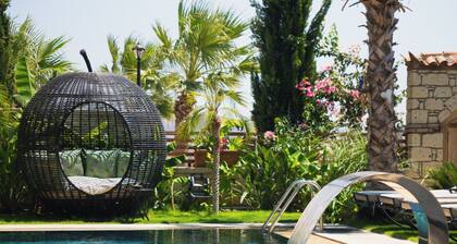 Avalon Boutique Hotel & Suites