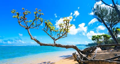Spacious tropical getaway with lanais - just steps from the ocean