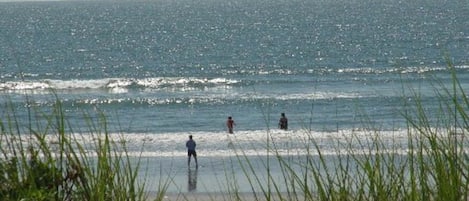 On the beach