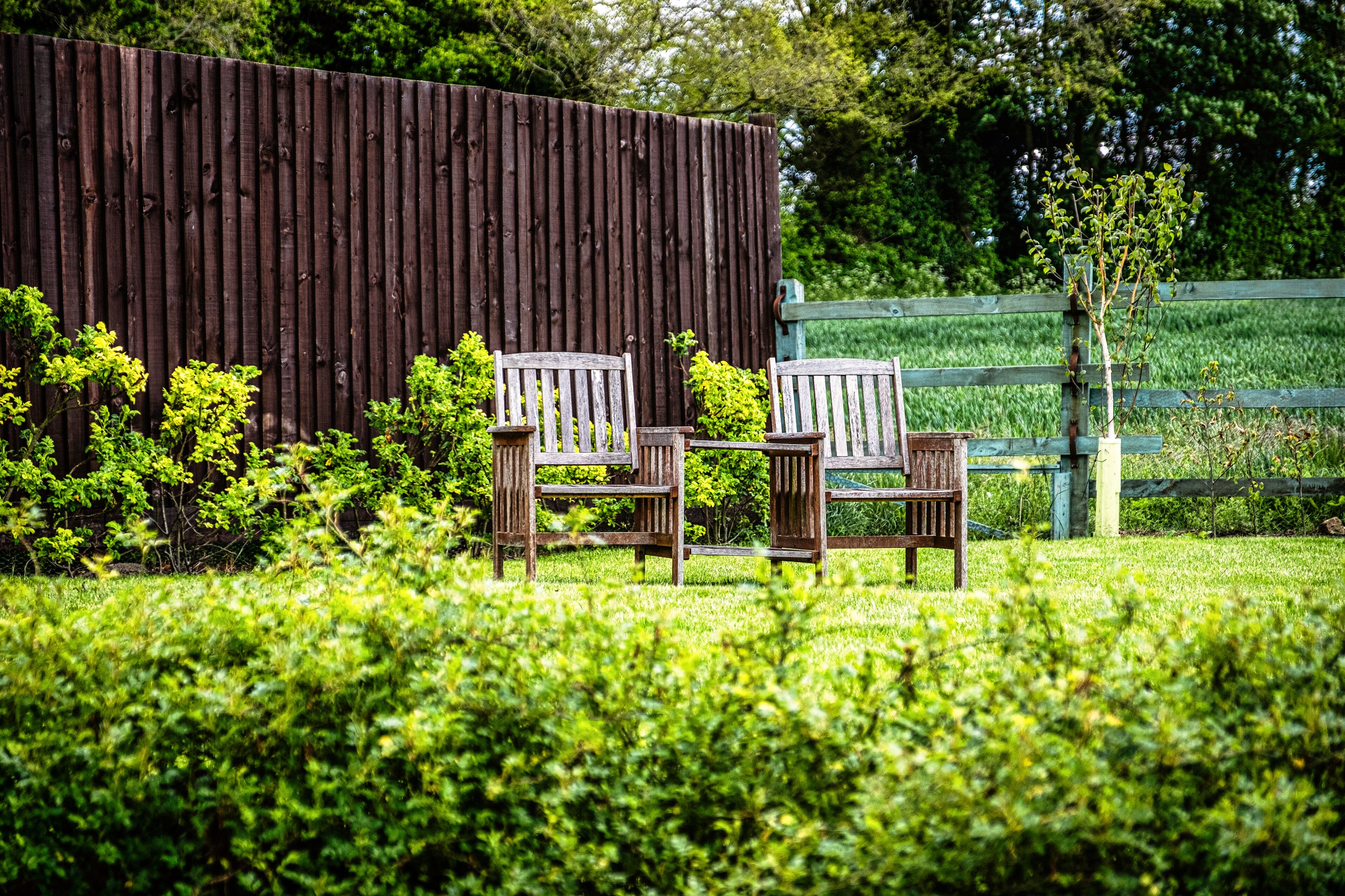 A wooden fence, two wooden chairs, and a small tree in a grassy area.