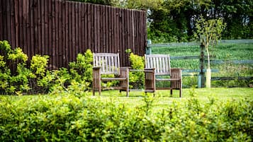 A wooden fence, two wooden chairs, and a small tree in a grassy area.