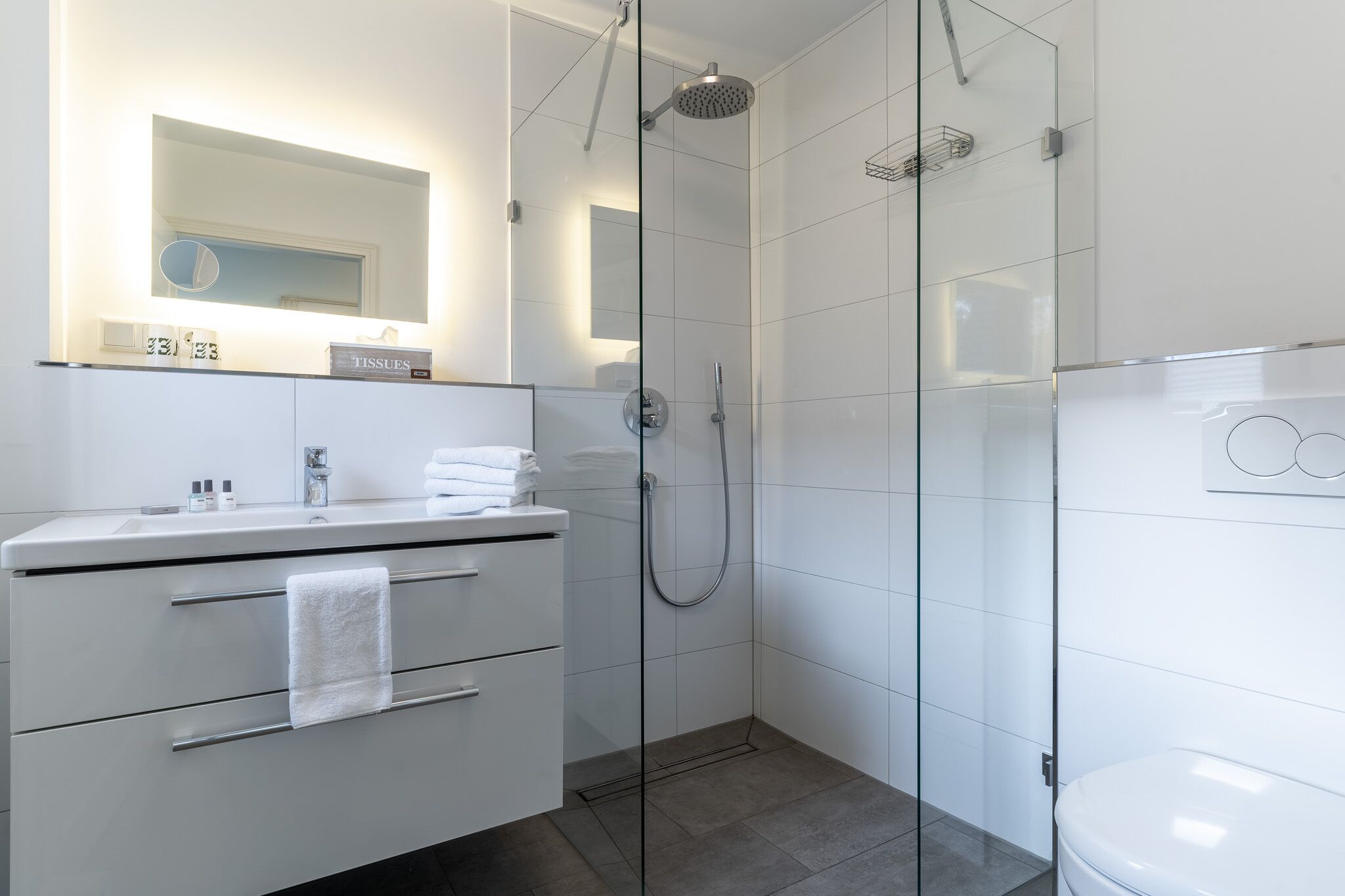 suite, ensuite (plus) | bathroom