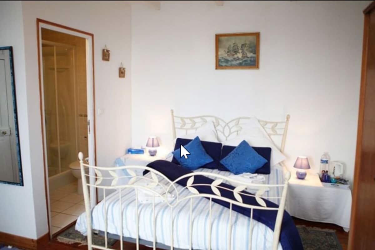 Double Room (Blue Room) | Laptop workspace, blackout drapes, cribs (free), WiFi (free)