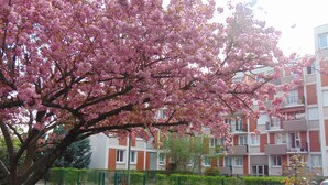 A residential building with multiple balconies, a green fence, and a tree with pink blossoms in the foreground. - NATURALBNB (Villeurbanne)