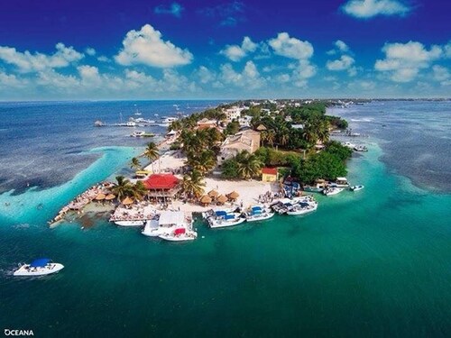 Beachfront Unit 3 - The Club at Caye Caulker Apartment 2