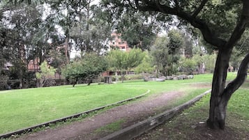 Apartment | Property grounds