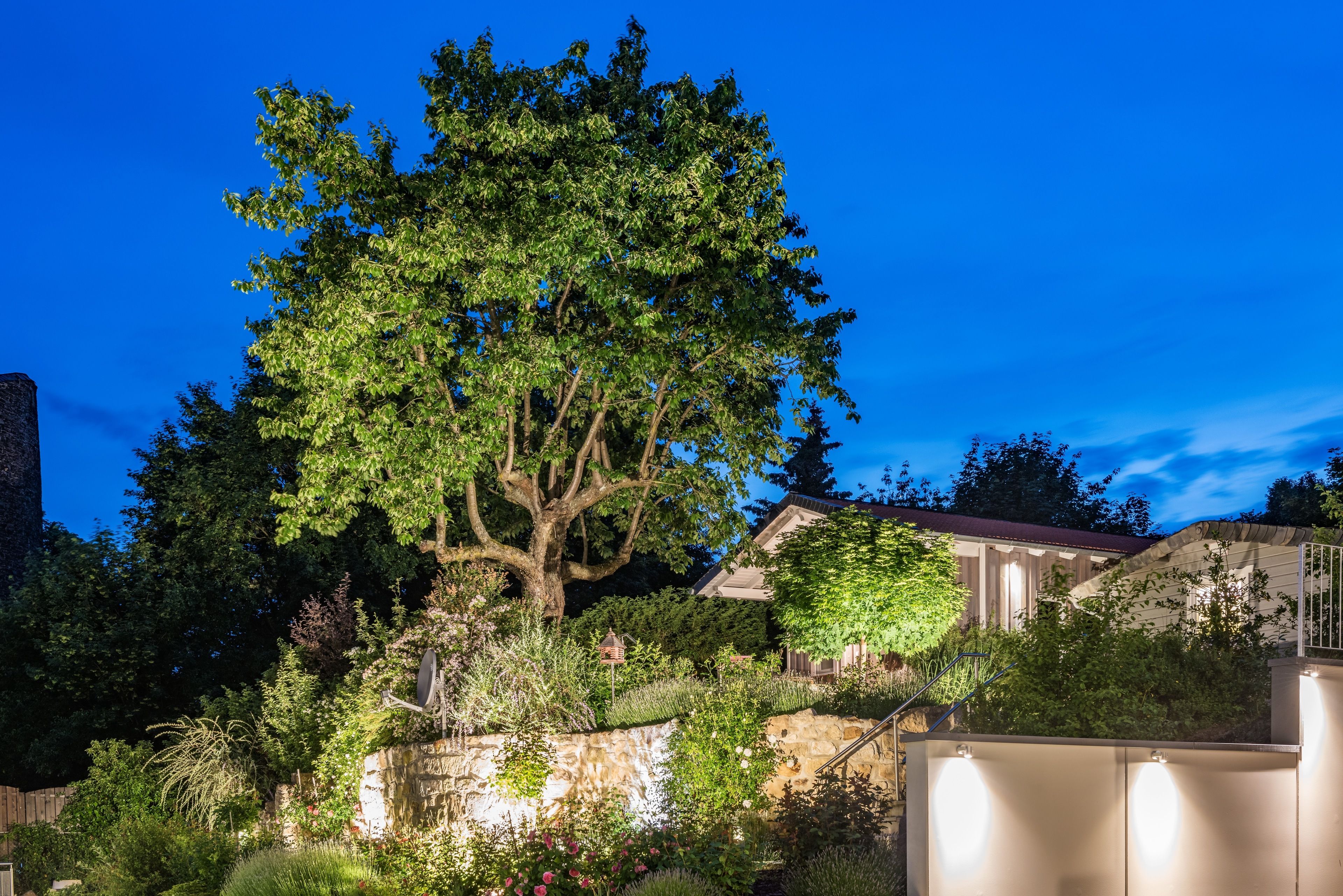 A large tree in front of a house with a stone wall and a metal fence.