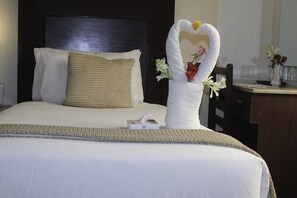 Minibar, desk, free WiFi - Hotel Royal (Lahore)