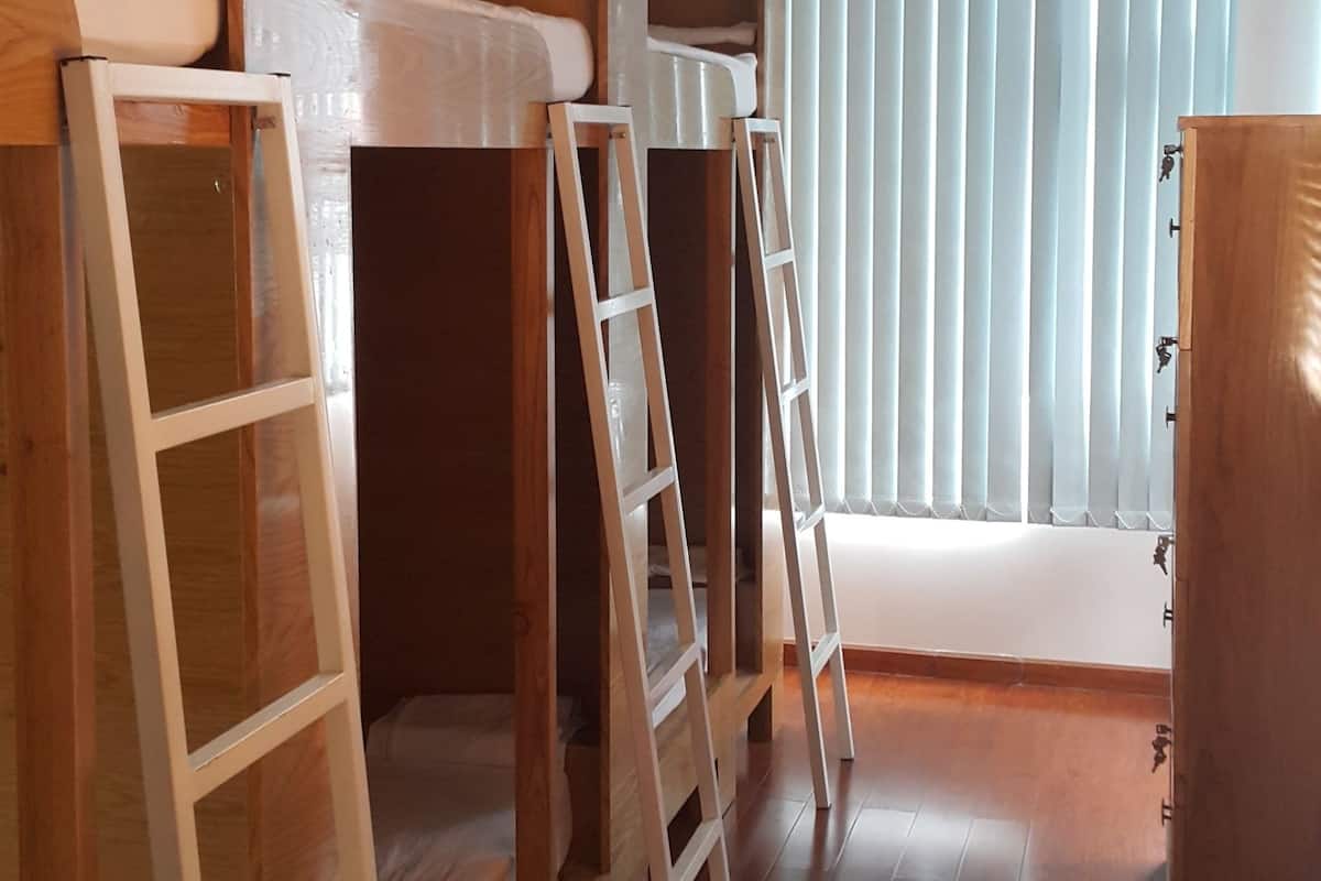 Bed in 6-Bed Mixed Dormitory