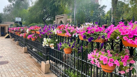 Vista desde la propiedad