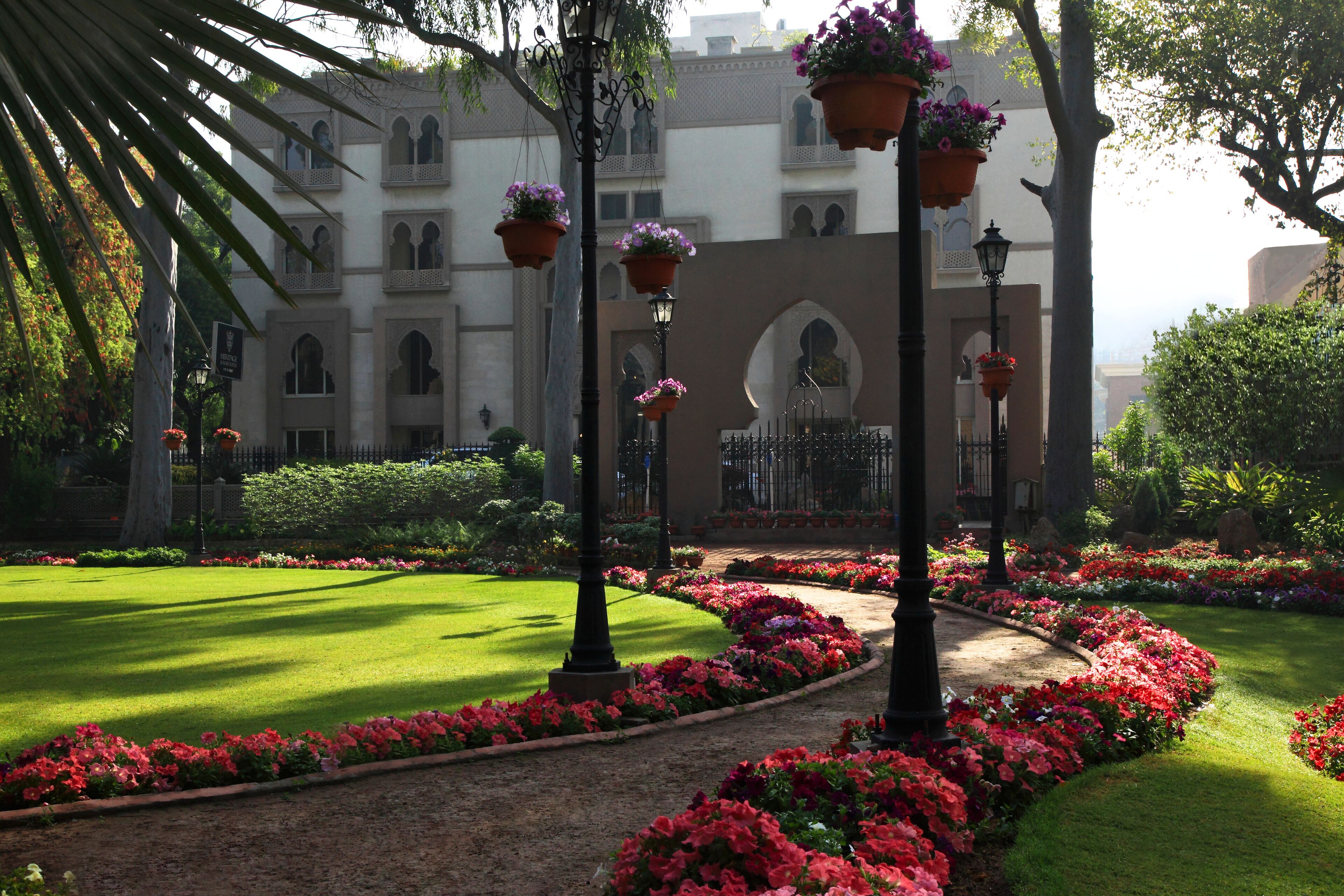 Garden