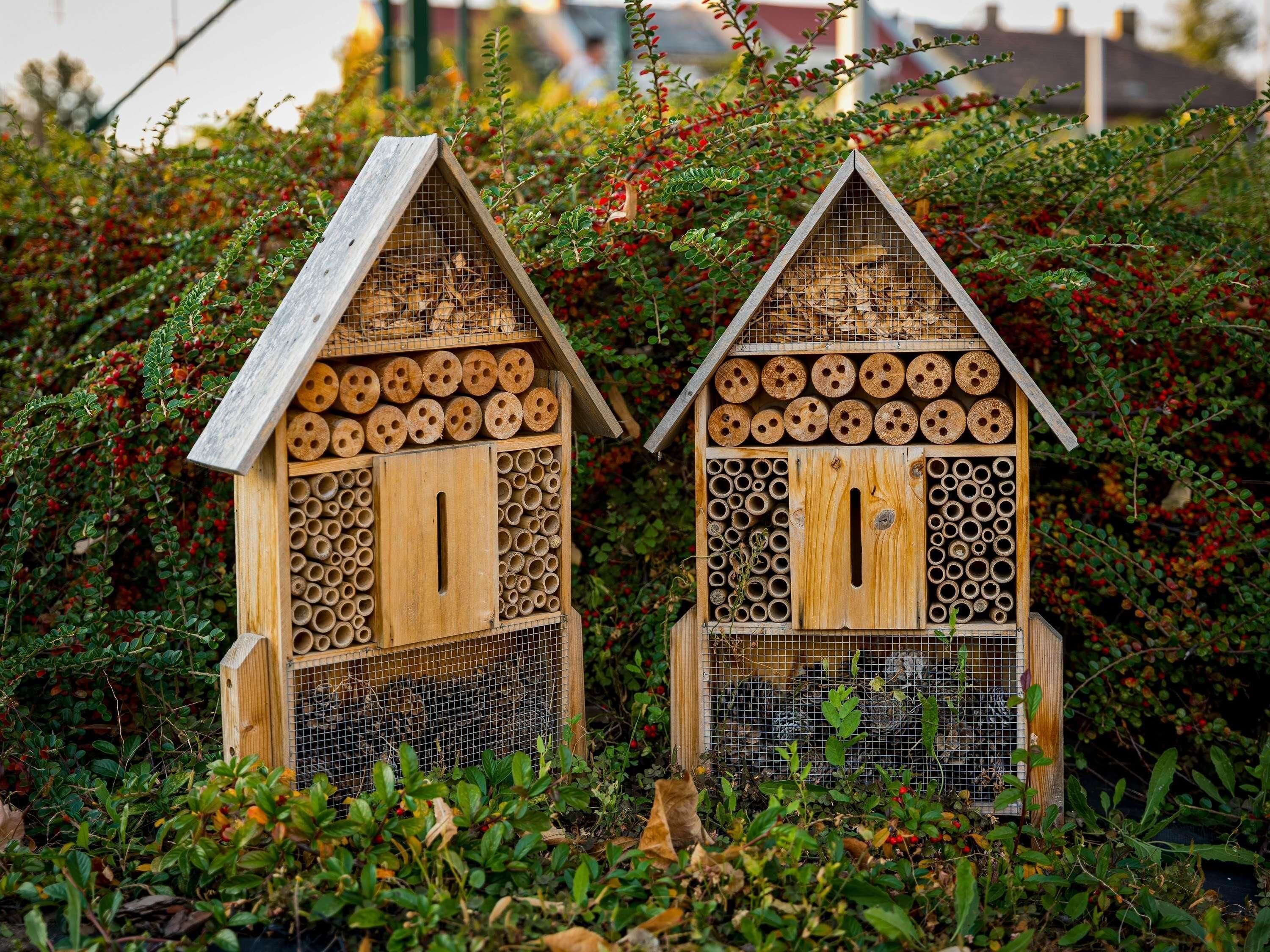 Foto - ibis Styles Budapest Citywest