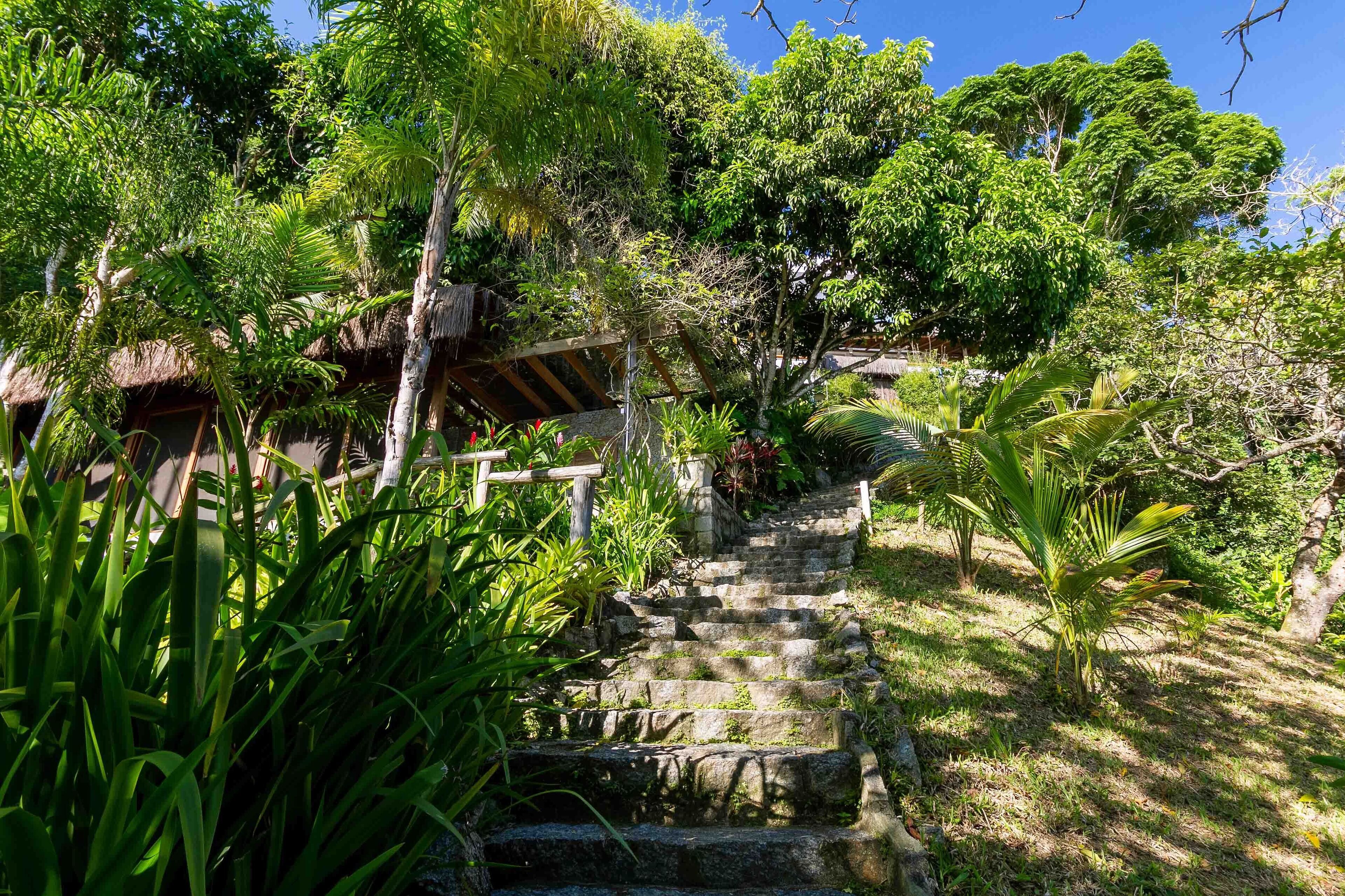 A stone staircase leading up to a thatched-roof structure surrounded by lush greenery.