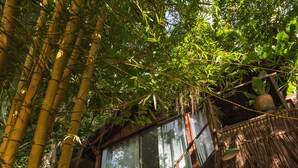Una estructura de madera rústica con techo de paja, rodeada de bambú denso y follaje tropical.
