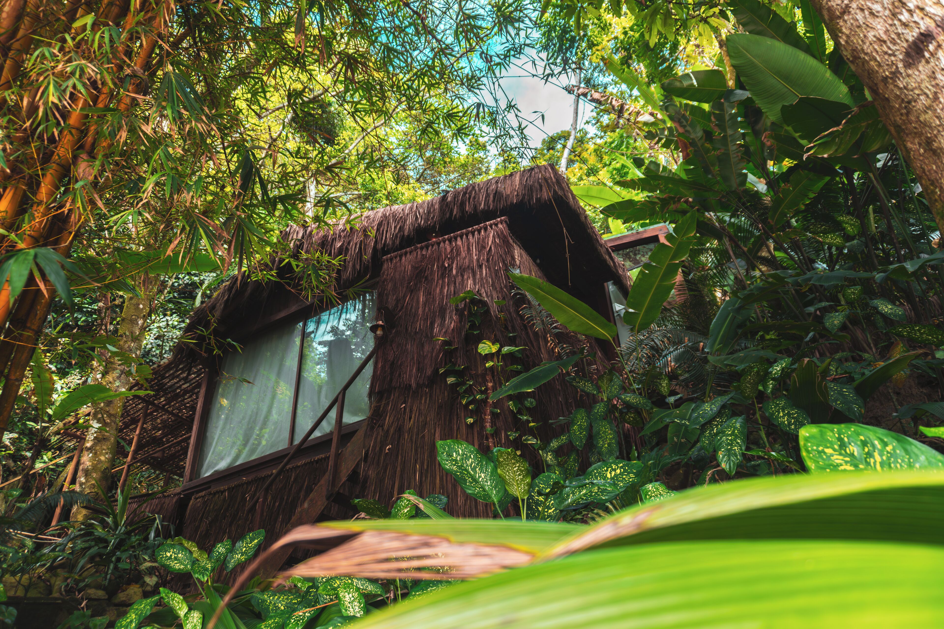 Exclusive Room, Beach View