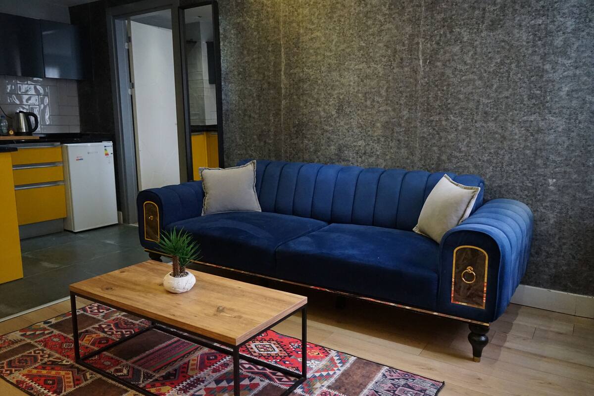 A living room with a blue sofa, a wooden coffee table, and a patterned rug.