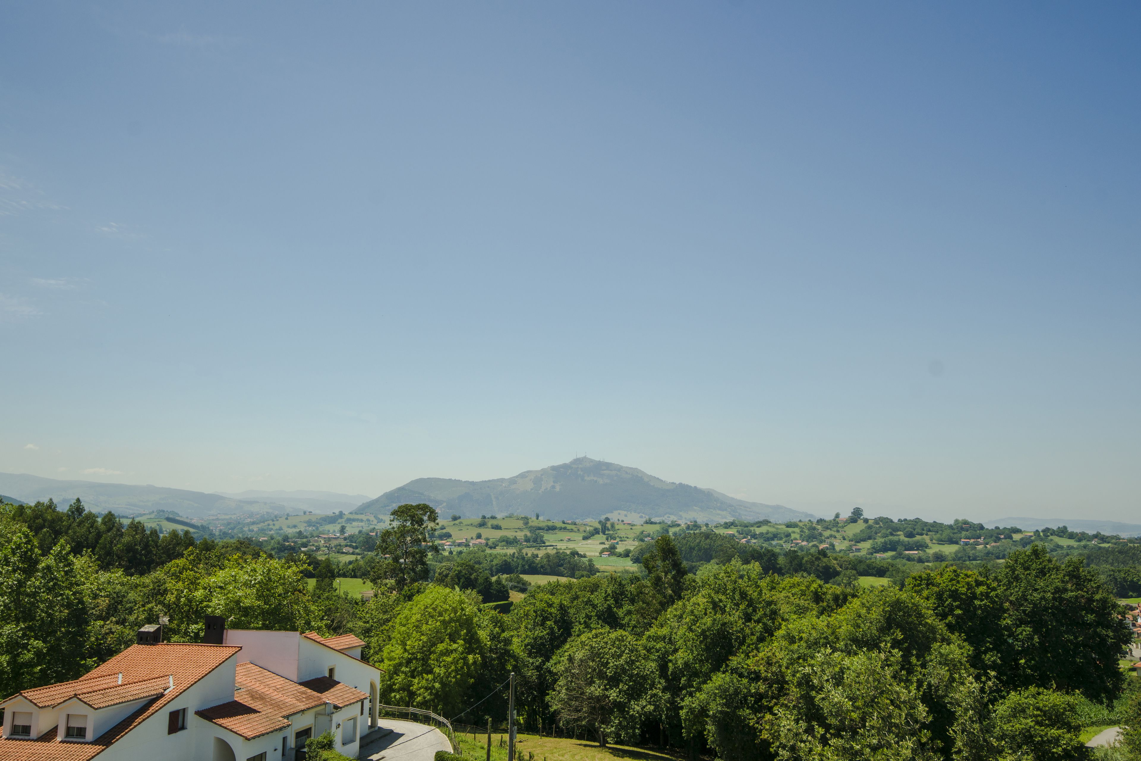 A residential area with houses, lush greenery, and a mountain in the background.