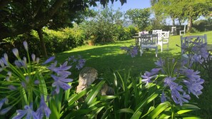 A garden with a lawn, white chairs, and purple flowers.