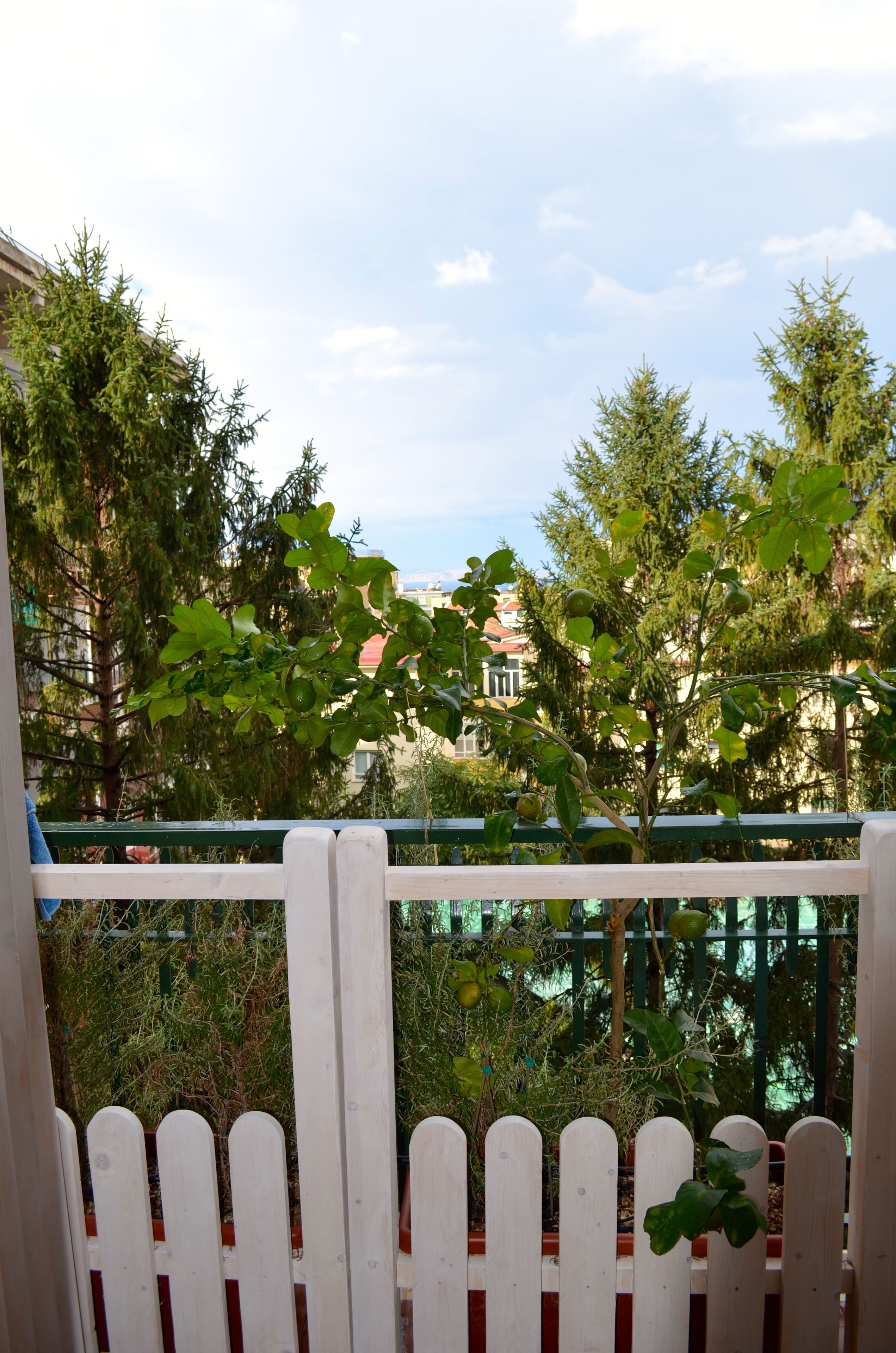 junior suite, 1 double bed, jetted tub | city view