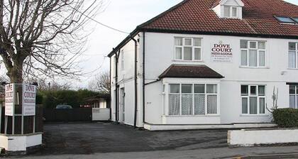 Dove Court Mini Lodge