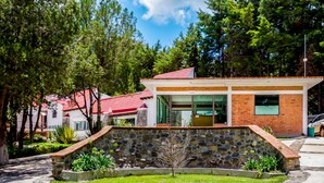 Un edificio moderno con recepción, pared de piedra y un pequeño jardín.