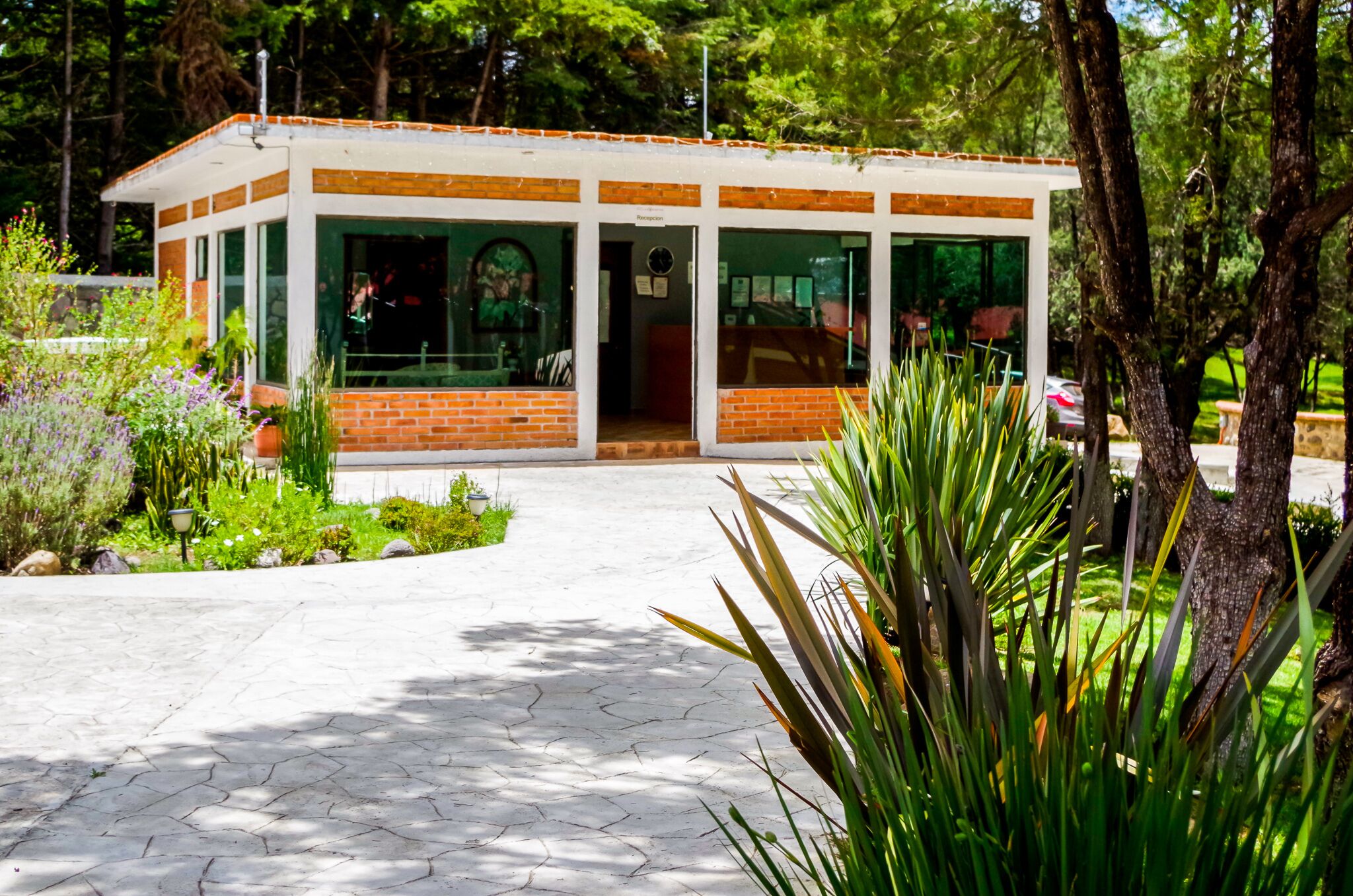 Un pequeño edificio de ladrillo con amplios ventanales, rodeado de vegetación y un camino pavimentado.