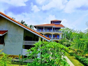 Garden - Thambili cabanas (Hikkaduwa)